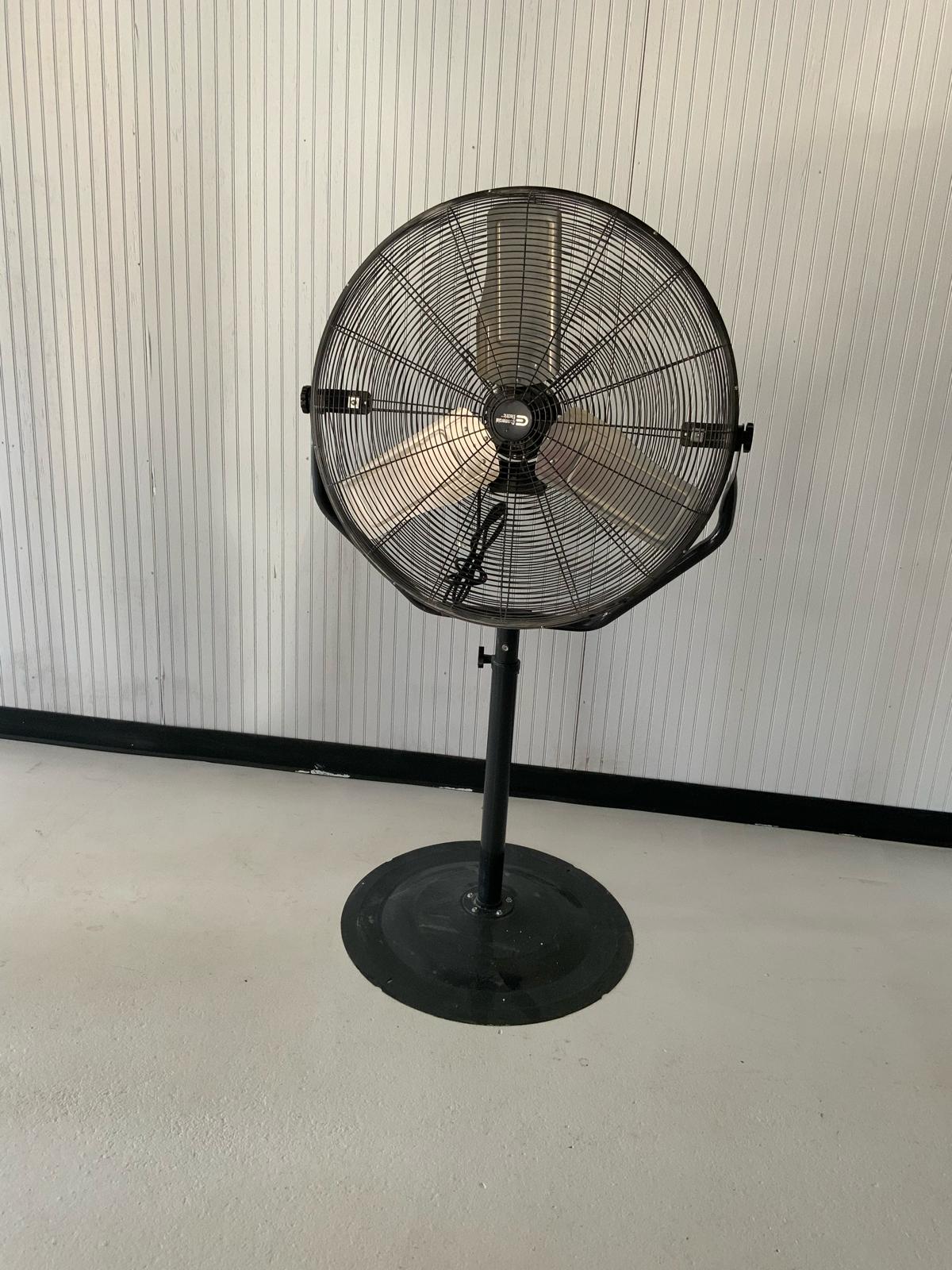 Fan